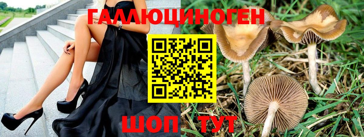 Красногорск  Псилоцибиновые грибы Psilocybine cubensis  Вход с VPN  Псилоцибиновые грибы ЛСД 